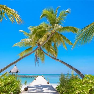 威尼斯澳门人下载手机版