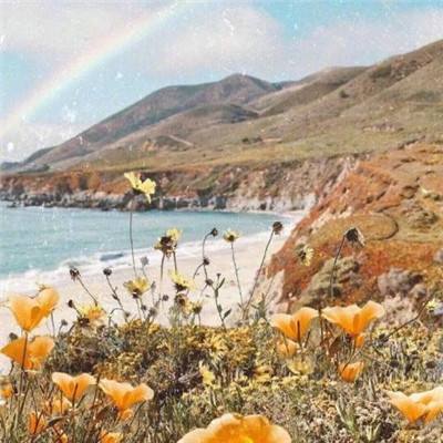 AG九游会app下载