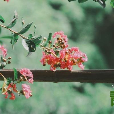 bat365官网登录入口