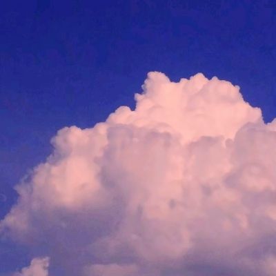 乐鱼app官网最新版下载