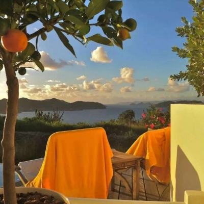 澳客APP下载官网app下载