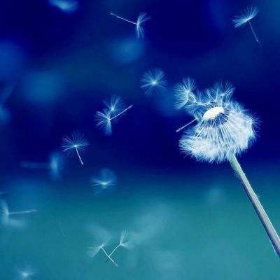 金沙集团186CC手机app下载