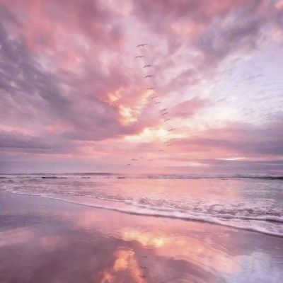 万博手机版max网页版