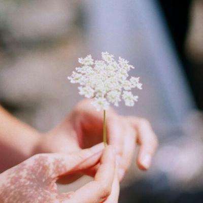 亚搏官网入口app