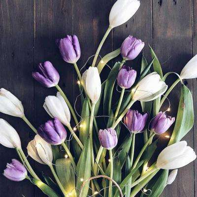 九游会AGapp下载