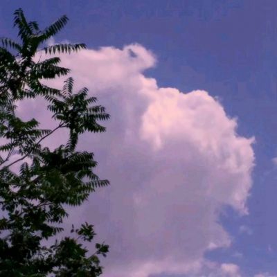 乐鱼官方app下载